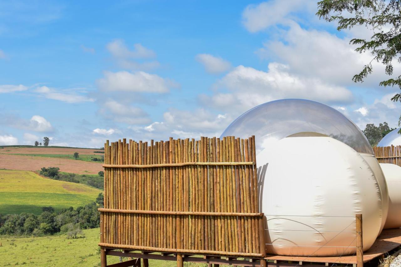 Bubble Pingo Do Mula Serra Da Canastra São Roque de Minas 外观 照片