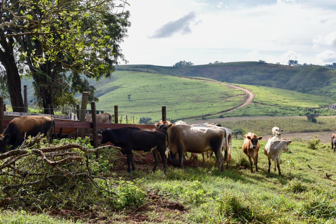 Bubble Pingo Do Mula Serra Da Canastra São Roque de Minas 外观 照片